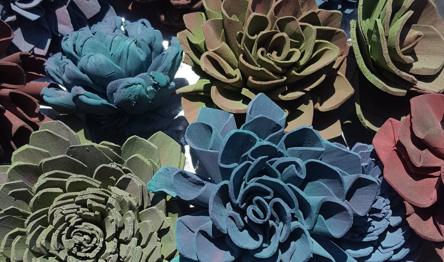Succulent
