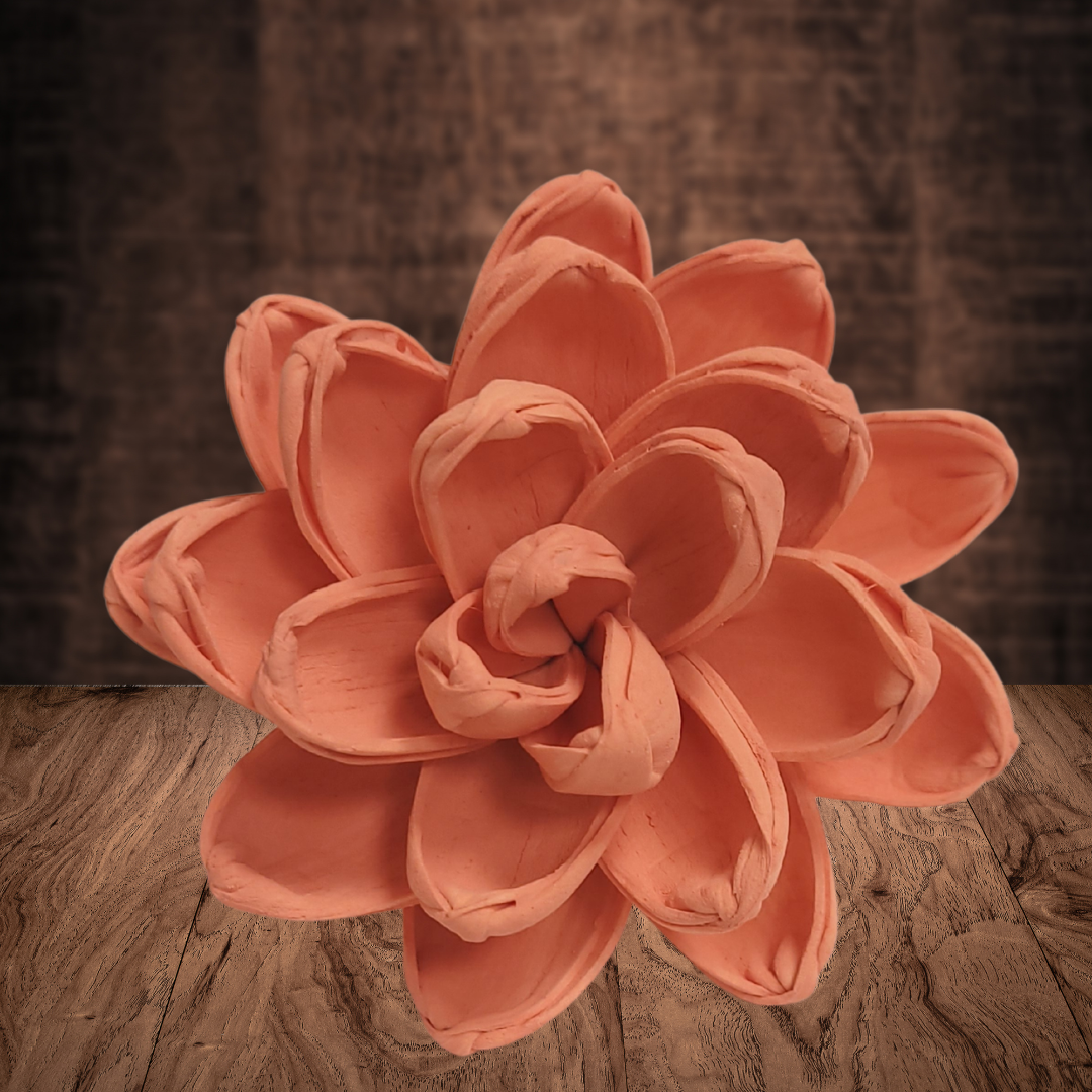 Tropical Coral Wood Flower Dye