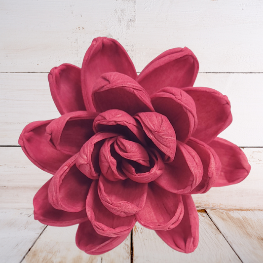 Pickled Beet Wood Flower Dye