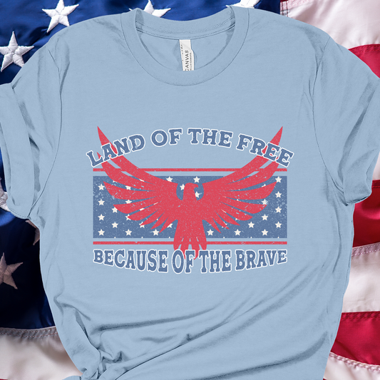 Land of the Free Ligh Blue Graphic Tee