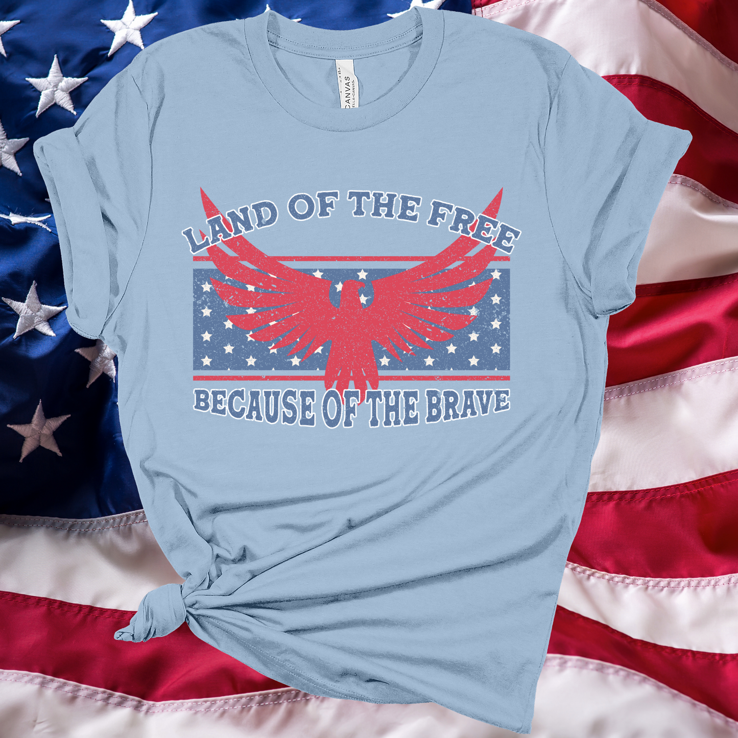 Land of the Free Ligh Blue Graphic Tee