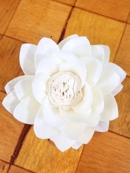 Lotus-3''