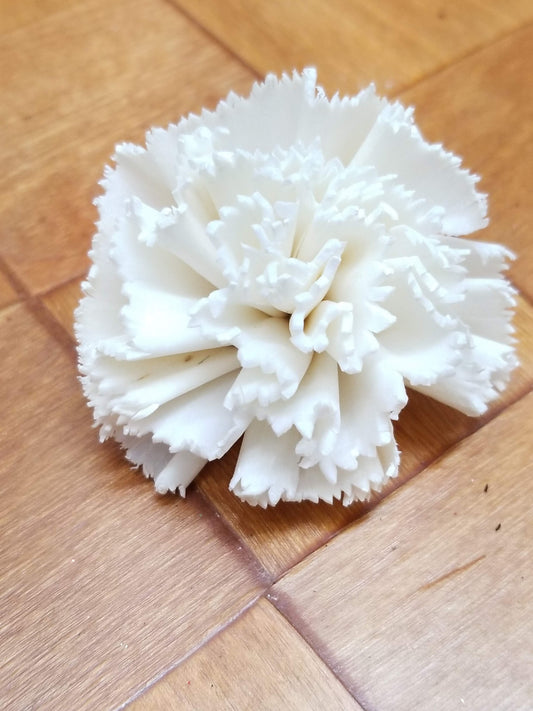 Carnations-2''