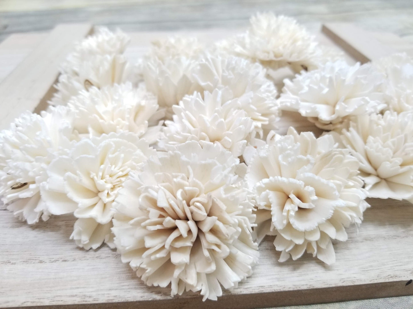 Carnations-1.5''