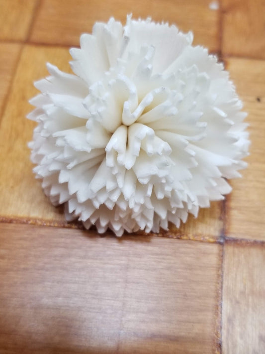 Carnations-1.5''