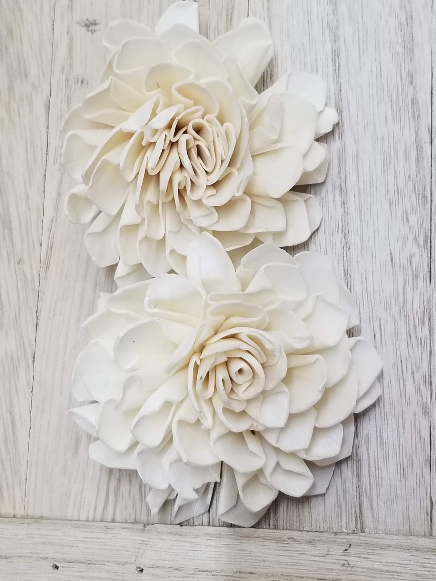 Dahlia - 1.5"