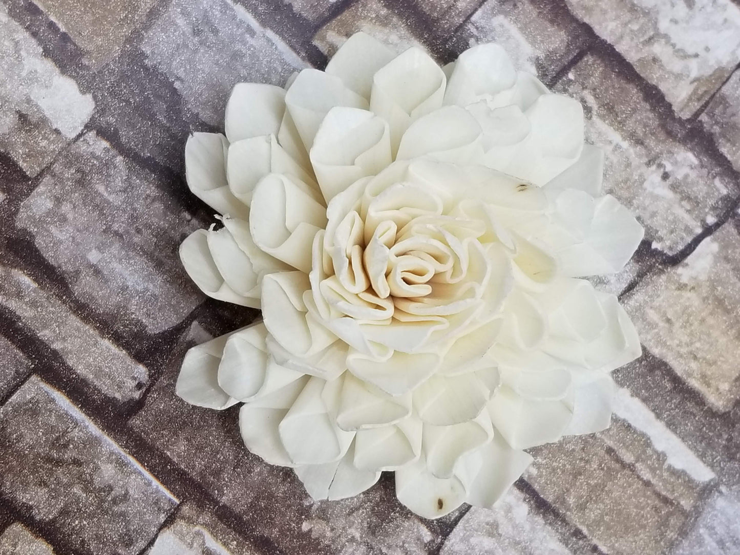 Dahlia - 1.5"