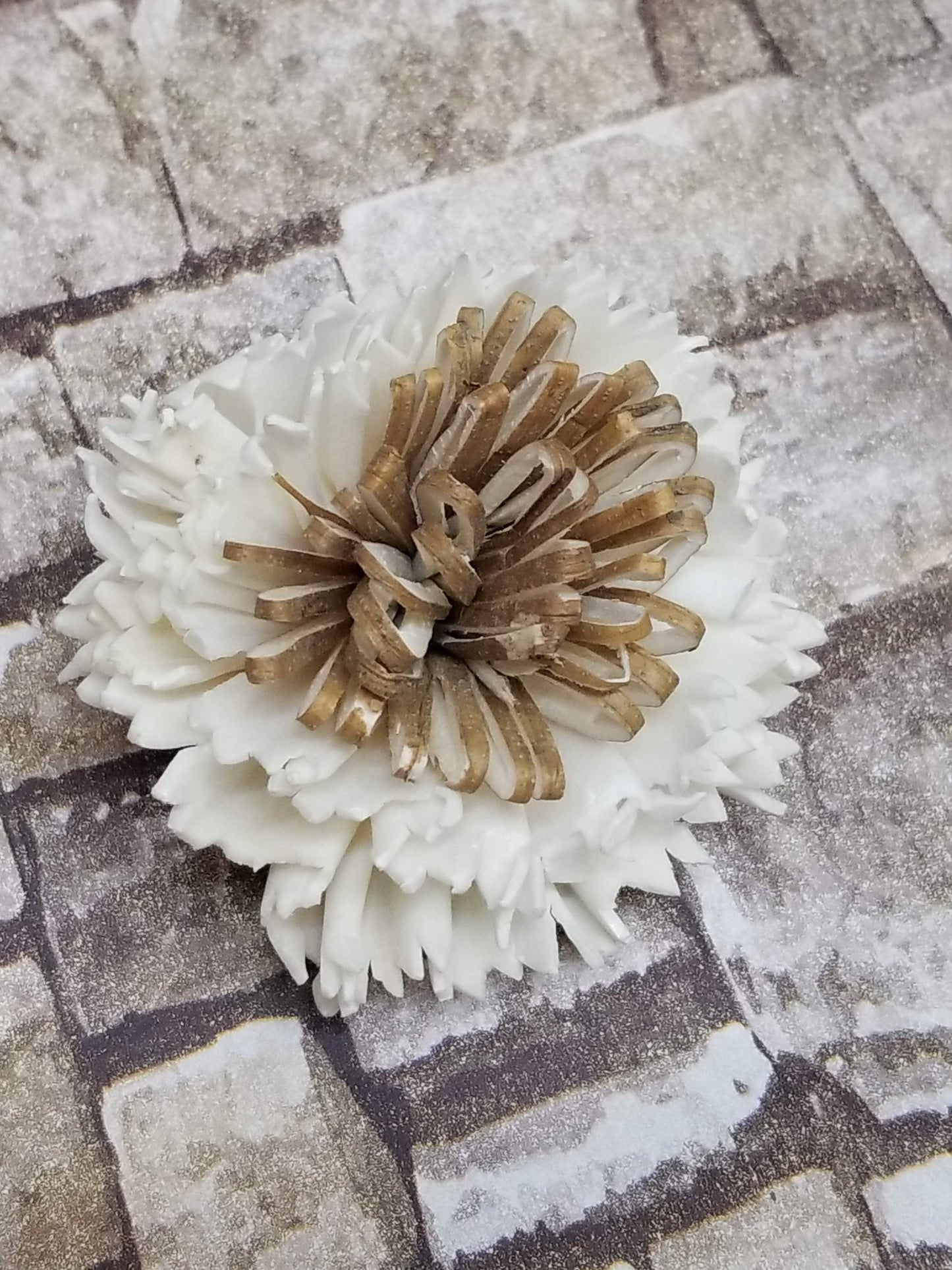 Tigers Eye-3''