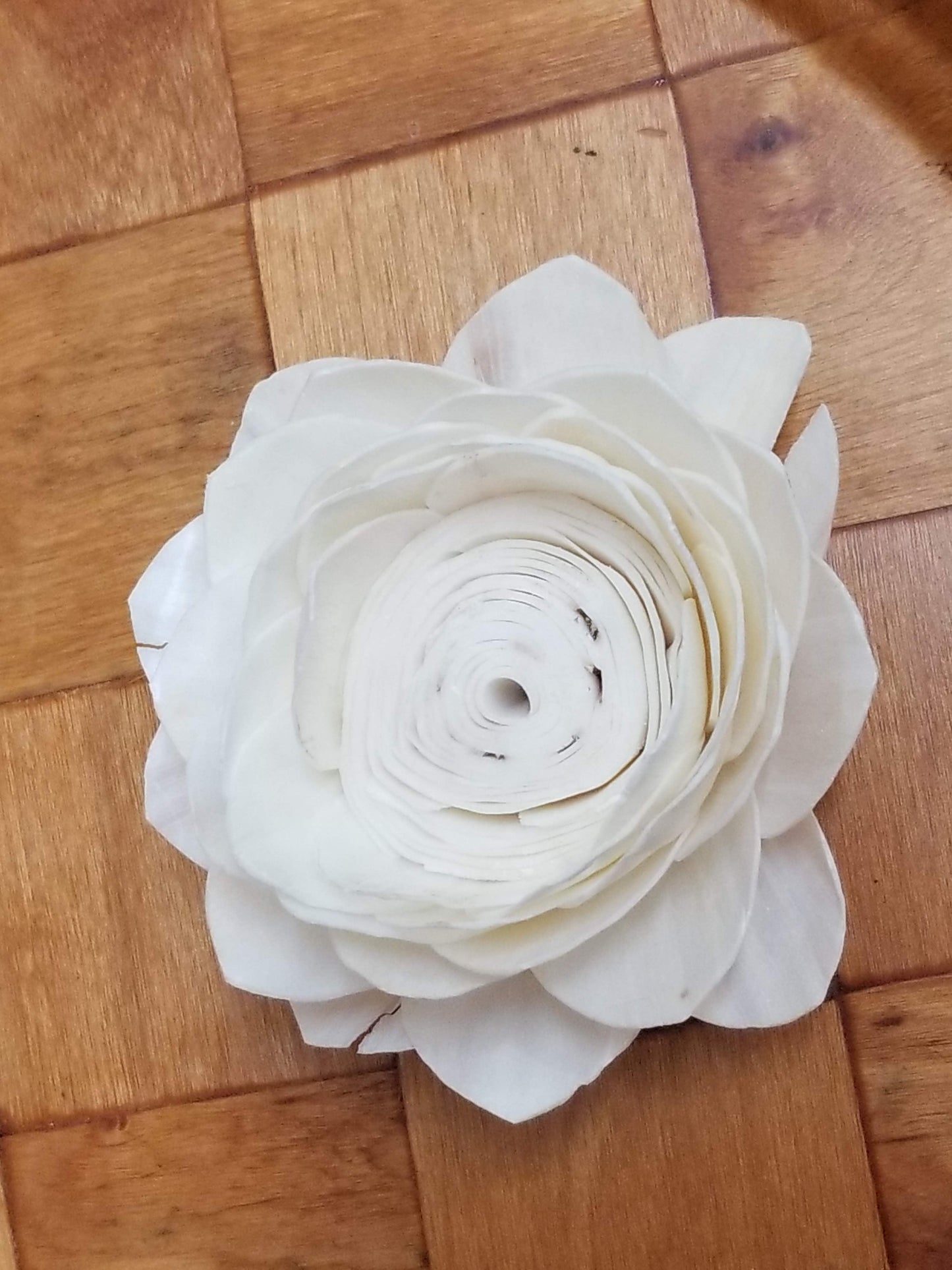 Lotus-3''