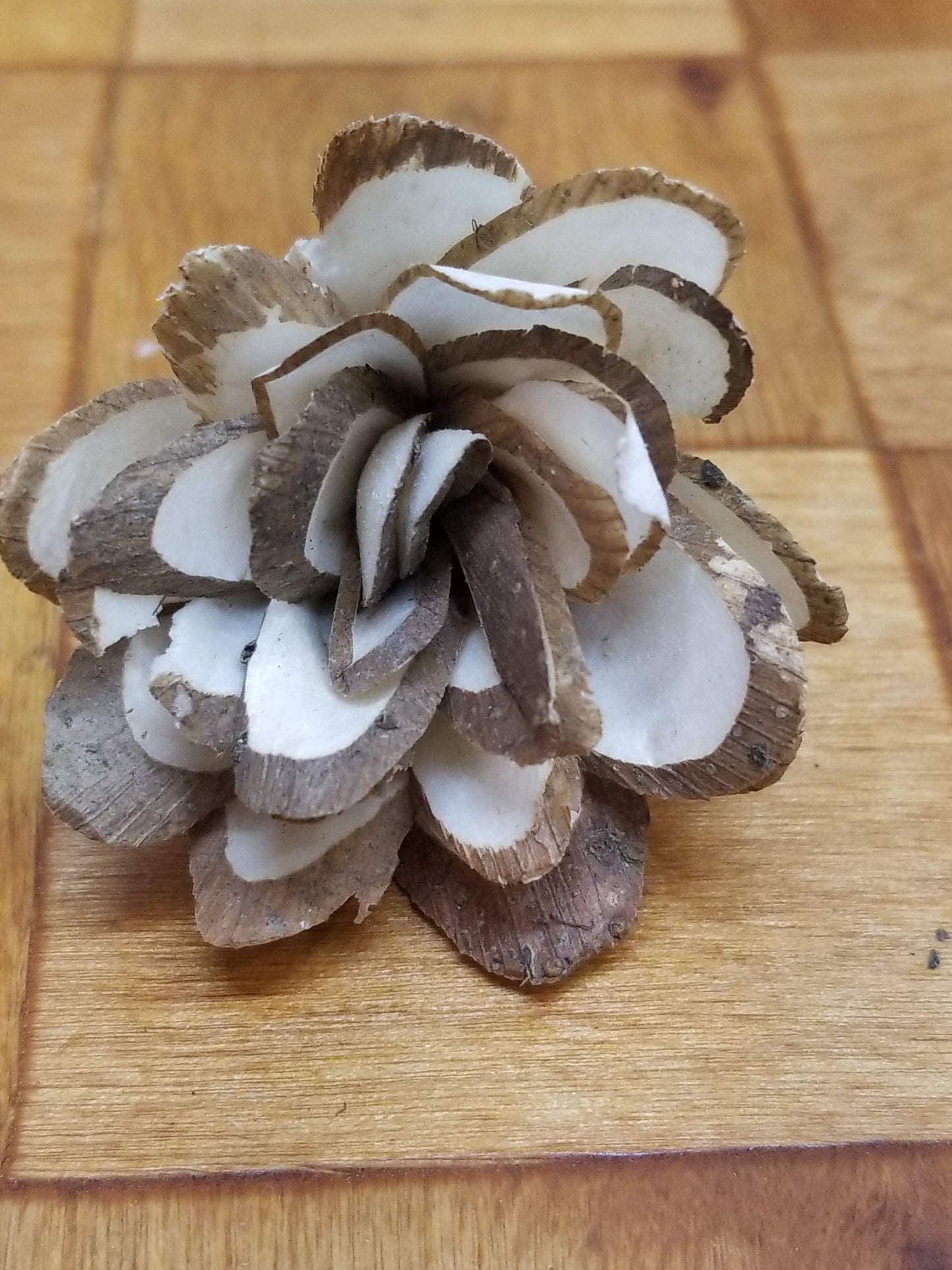 Almond-2''