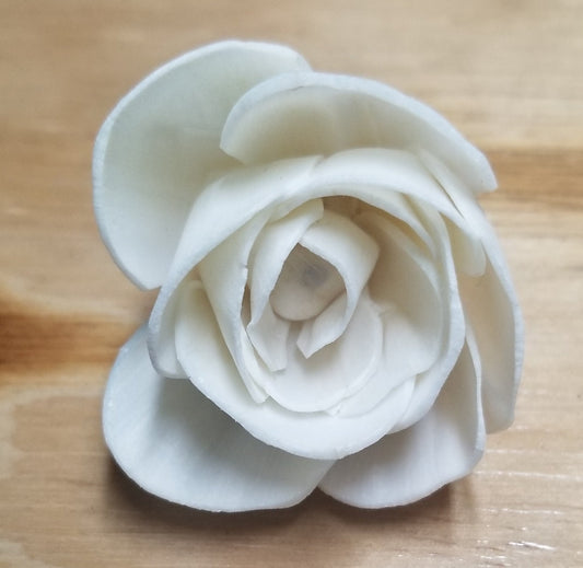 Hope-2"