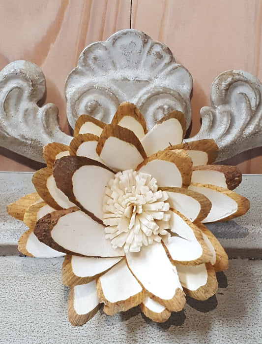 Sunflower Almond -2''