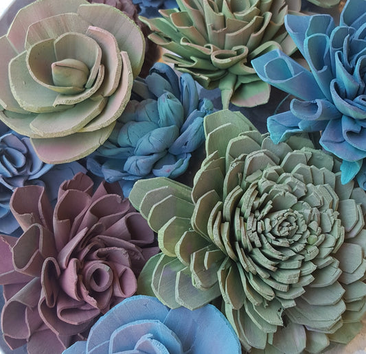 Succulent