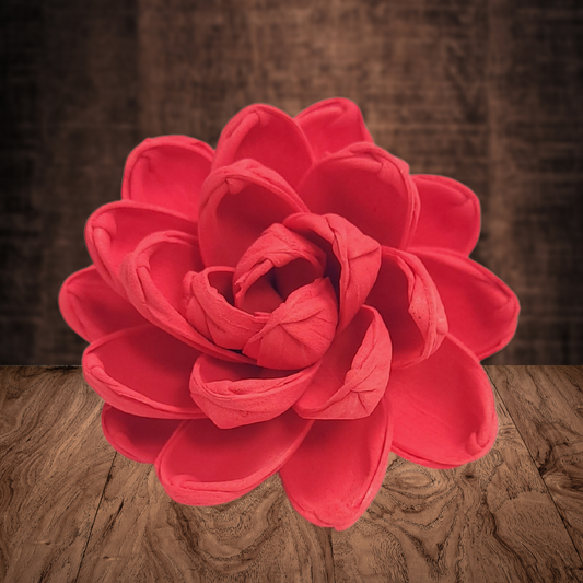Salmon Wood Flower Dye