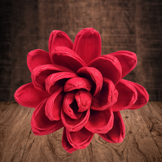 Apple Red Wood Flower Dye