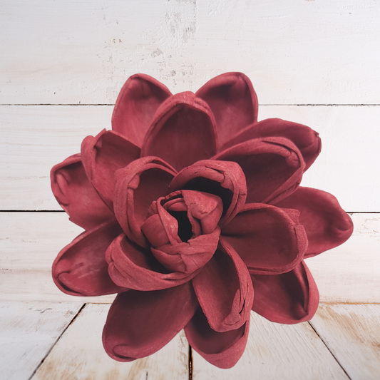 Sangria Wood Flower Dye