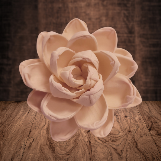 Cream Wood Flower Dye