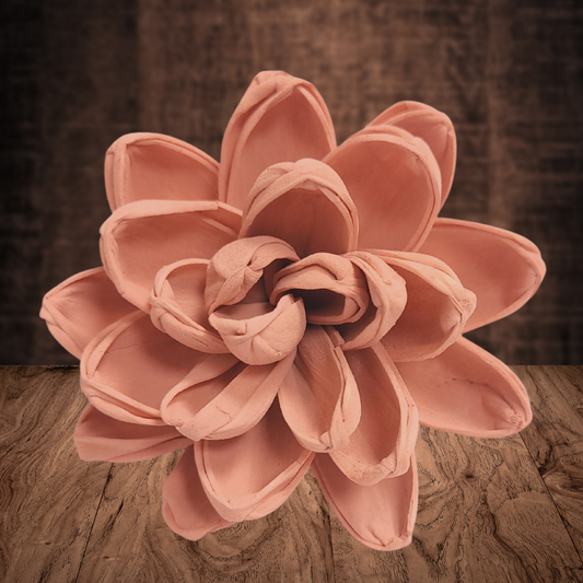Piggy Pink Wood Flower Dye