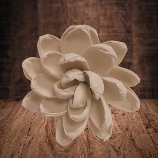 Antique White Wood Flower Dye
