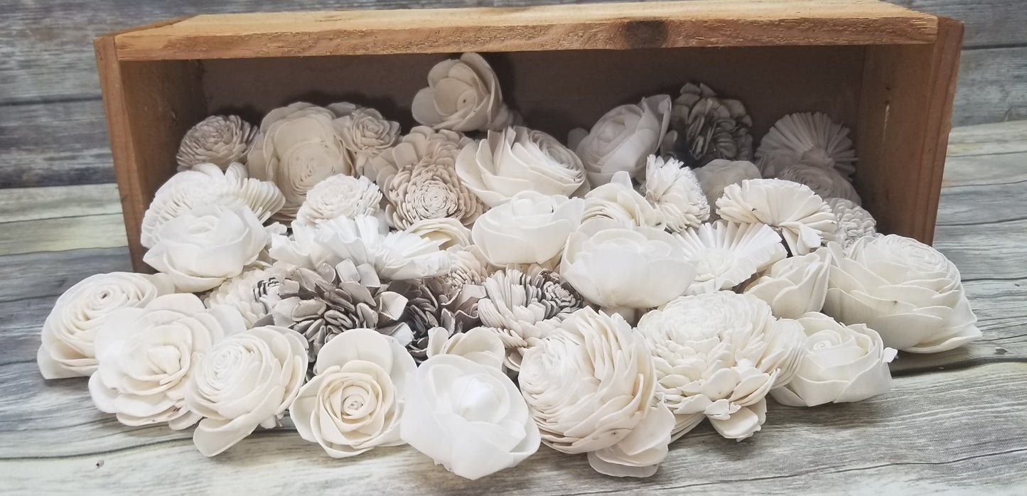 50  Pack Assortment