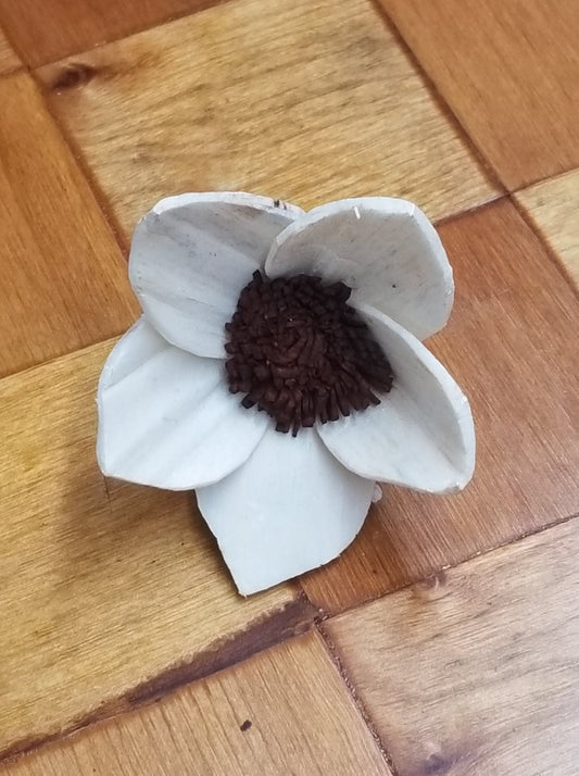 Lily-2''