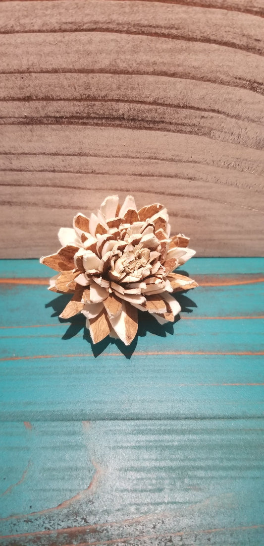 SKIN ZINNIA - 1"
