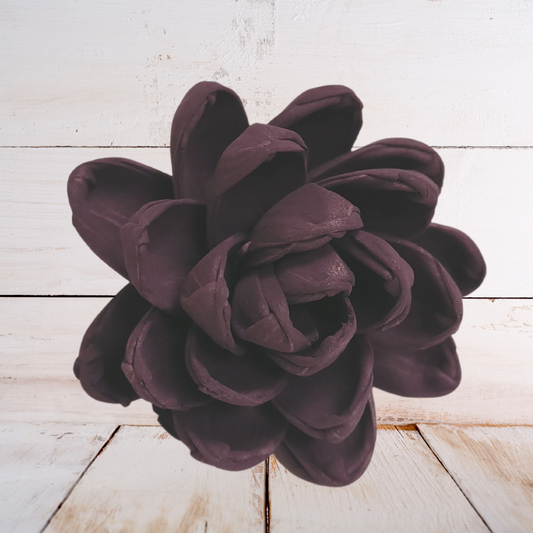 Plum Wood Flower Dye