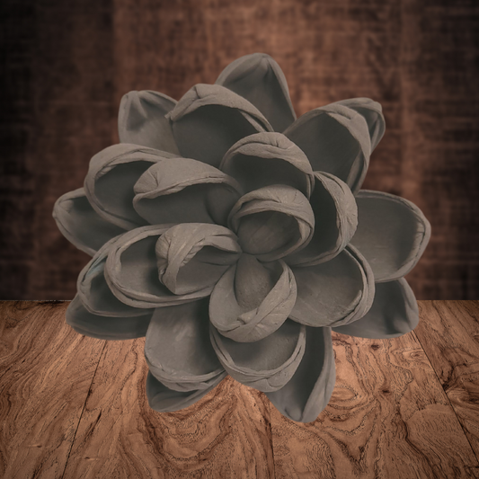 Ash Wood Flower Dye