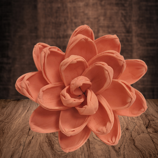 Tropical Coral Wood Flower Dye