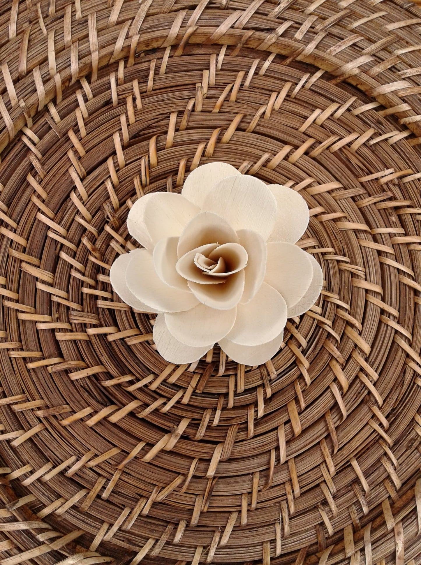 Wood Rose -3''