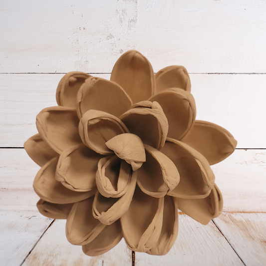 Ivory Wood Flower Dye
