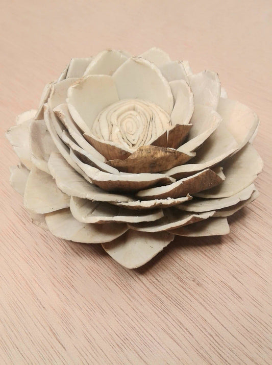 Skin Lotus -3''