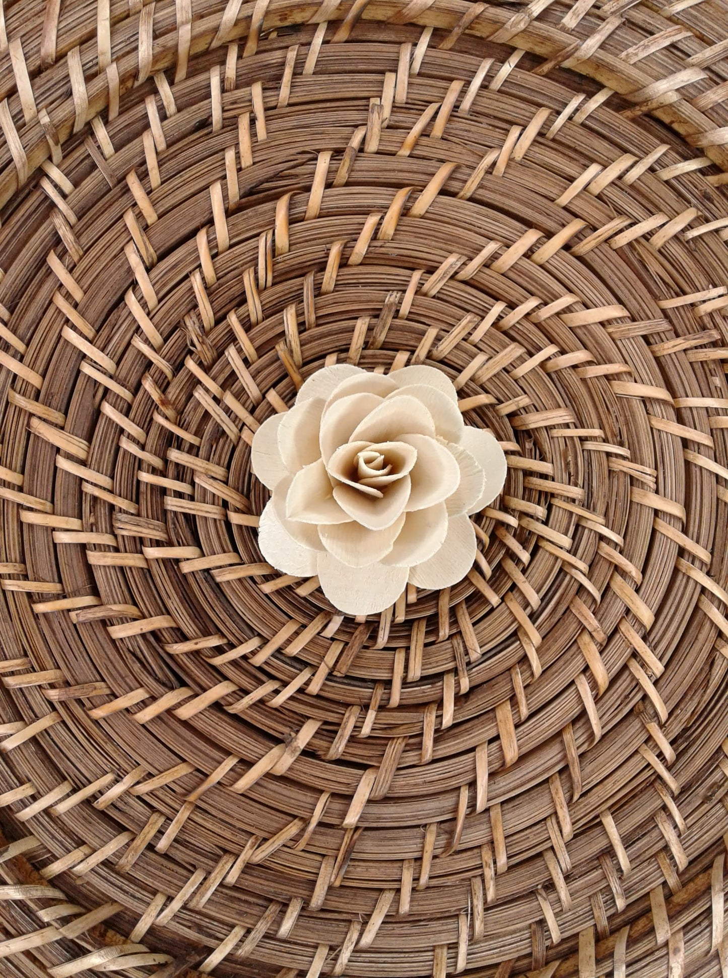 Wood Rose -2''