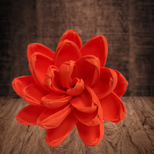 Tangerine Wood Flower Dye