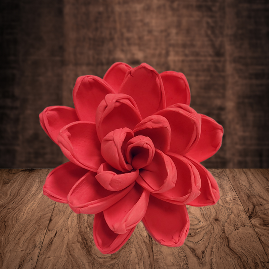 Coral Wood Flower Dye