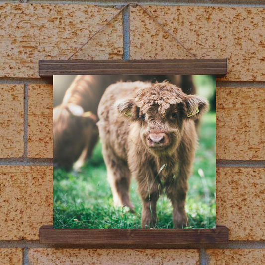 Baby Cow Hanging Canvas