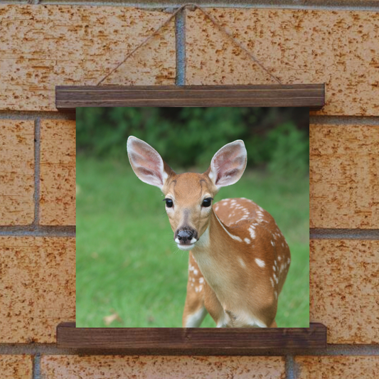 Doe Hanging Canvas