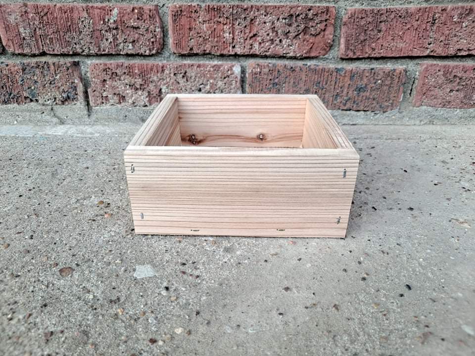 6 in. Centerpiece Box